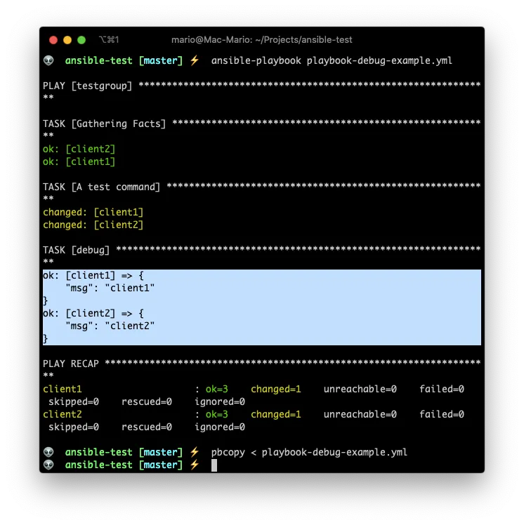 Ansible playbook debug example