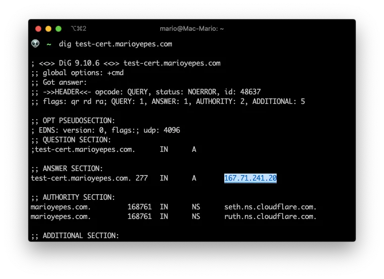 Verify DNS with dig