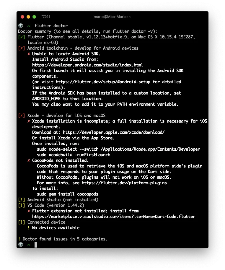 Flutter doctor after installing flutter using git