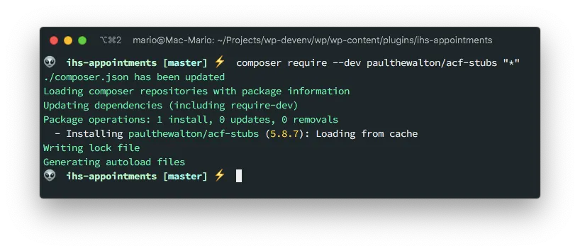 Install acf stubs with composer command