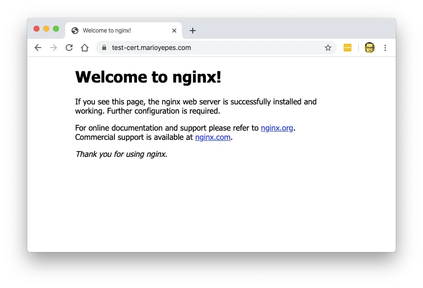 Nginx secured