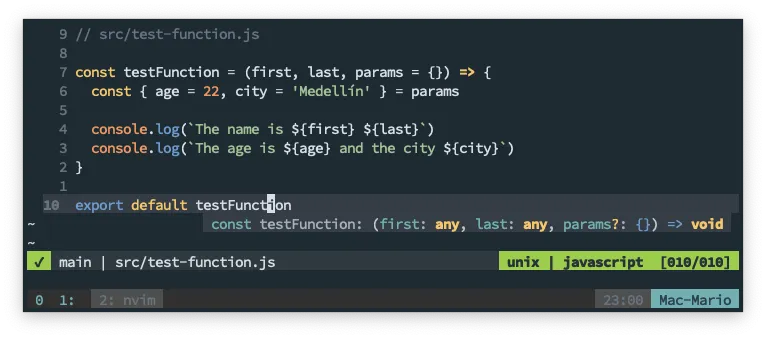 JavaScript function with no JSDoc documentation